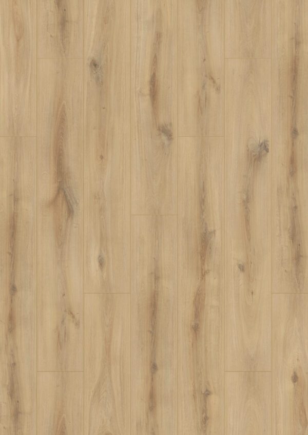 1533 Hamilton oak laminate flooring